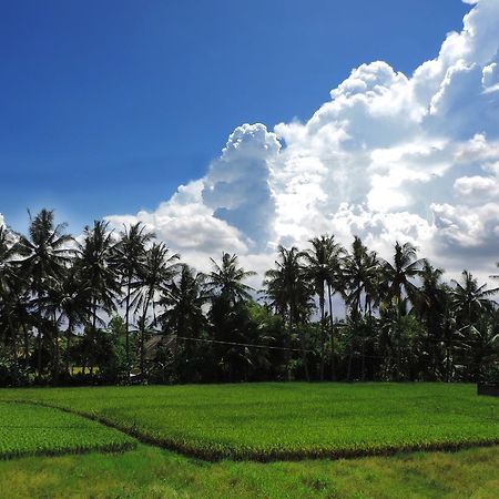 Pondok Ayu Soca Ubud Eksteriør billede